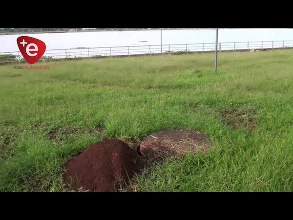 VECINOS DESEAN RECUPERAR UNA NACIENTE EN B° SAN PEDRO