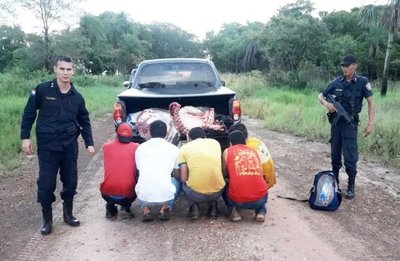 Cae titular de la Junta de San Alfredo por supuesto abigeato - Edicion Impresa - ABC Color