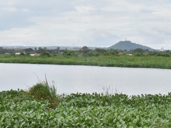 Bellas lagunas se pierden en sitios olvidados y contaminados en capital