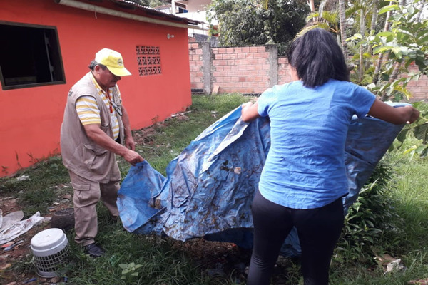 Detectan más de 23 mil criaderos en Asunción y Central - ADN Paraguayo