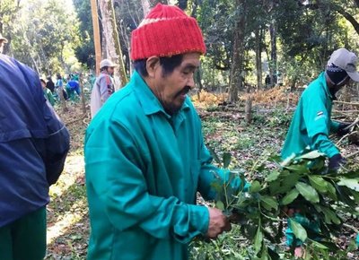Indígenas se autosustentan y exportan sus productos - Nacionales - ABC Color