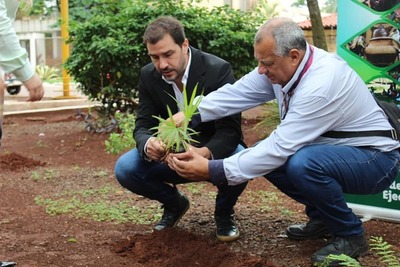Arrancan las tareas para salvar el arroyo Hu’i Rupa de Hernandarias - ADN Paraguayo