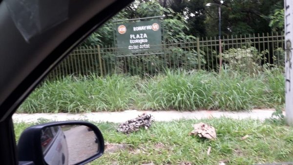 Yuyal en parque ecológico - Cronicas Ciudadanas - ABC Color