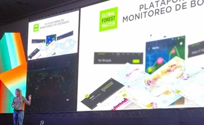 HOY / Global Forest Watch: la tecnología será aliada en el combate a la deforestación