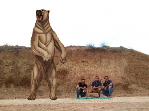 Descubren un oso gigante que vivió hace 700.000 años