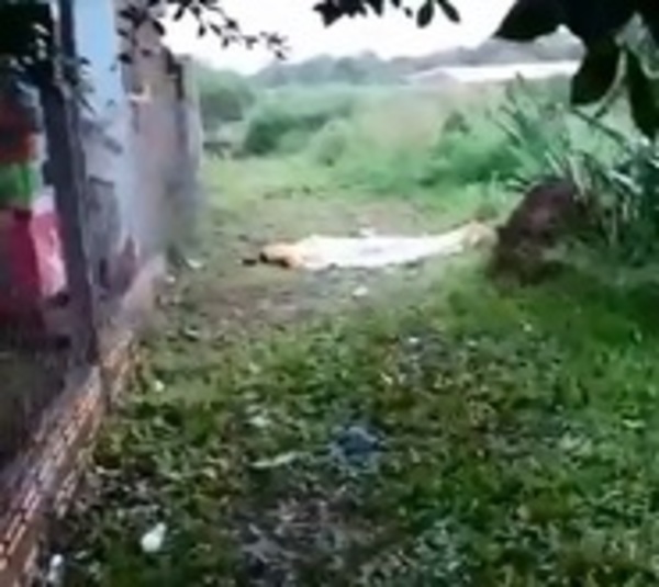Menor falleció tras quedar pegado a una cerca electrificada - Paraguay.com