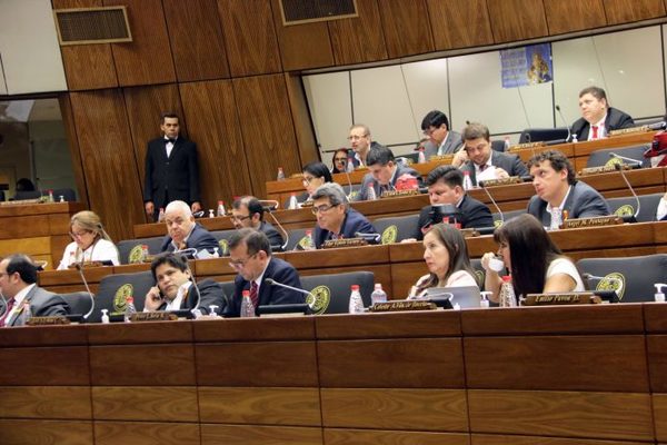 Esperarán tratamiento en Diputados