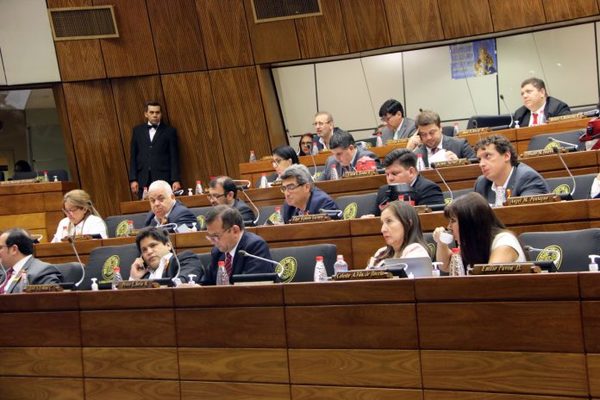 Esperarán  tratamiento en Diputados