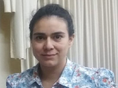 189 animales son atropellados por mes en solo 250 km, según estudio