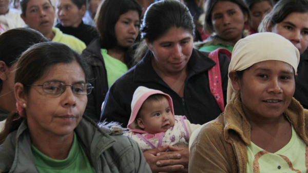 Tekoporã desembolsará más de G. 1.780 millones esta semana en Alto Paraná | .::Agencia IP::.