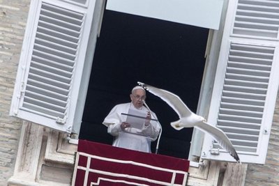 Papa lamenta la masacre de Christchurch y rechaza el odio y la violencia | Paraguay en Noticias 
