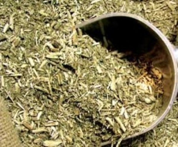 Yerba paraguaya atrae a escandinavos