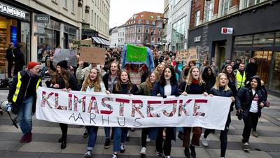 ¿Quiénes son los Jóvenes por el Clima?