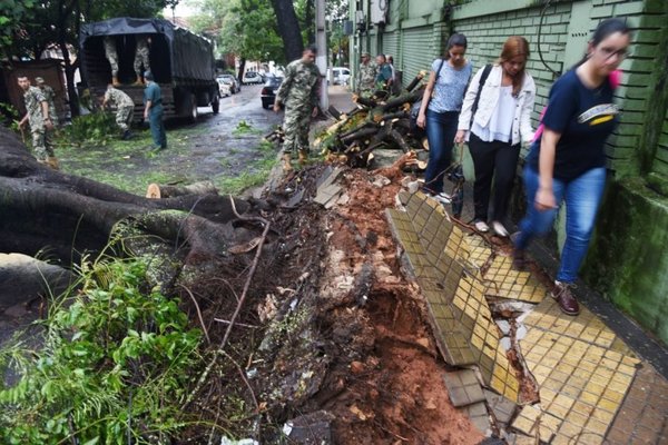 Tránsito pesado, baches y árboles caídos - Nacionales - ABC Color