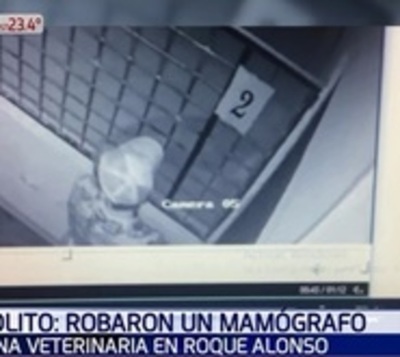 Buscan a joven que se llevó mamógrafo de veterinaria - Paraguay.com