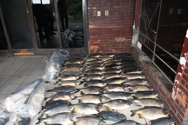 Decomisan productos pesqueros en zona Vista Alegre - ADN Paraguayo