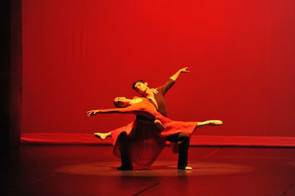 ¡Vamos al Ballet!, hoyen el Teatro Municipal