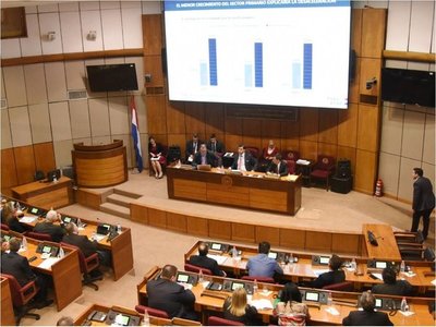 Senadores critican falta de reacción del Ejecutivo ante la desaceleración