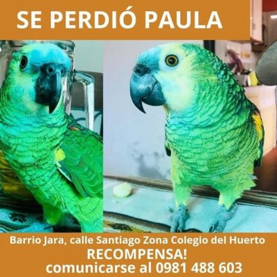 Lora sigue prófuga, pese a esfuerzo de bomberos - Nacionales - ABC Color