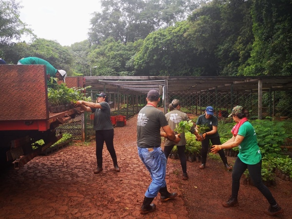 Vivero de Itaipú produjo más de 100.000 plantines en febrero | .::Agencia IP::.
