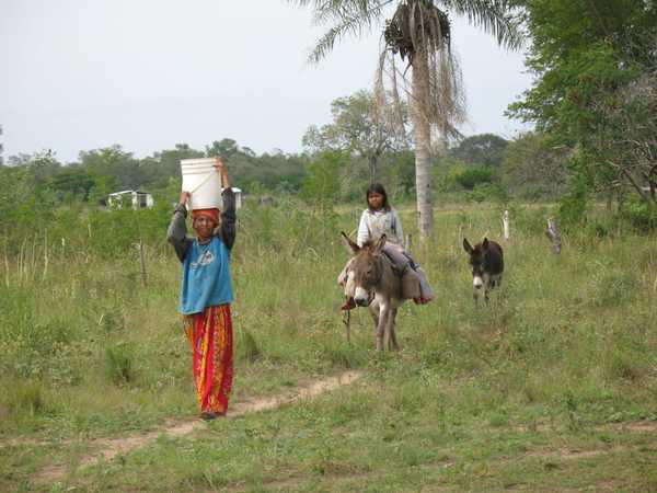 Diferentes culturas unidas por una misma necesidad: Unidos por el agua » Ñanduti