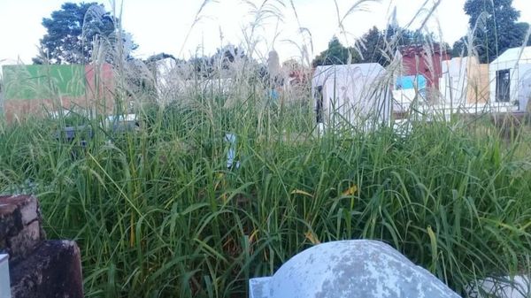 "Limpieza en el cementerio esta en etapa final" - Digital Misiones