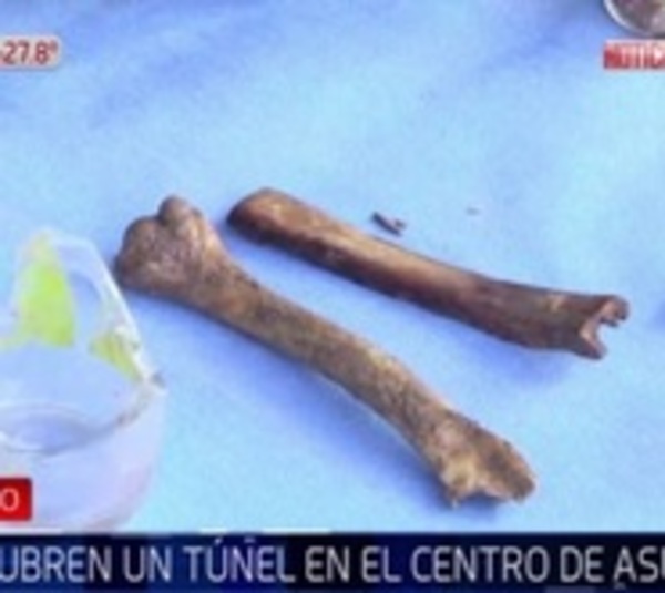 Hallan vetusto túnel y sospechan que es de la época stronista - Paraguay.com