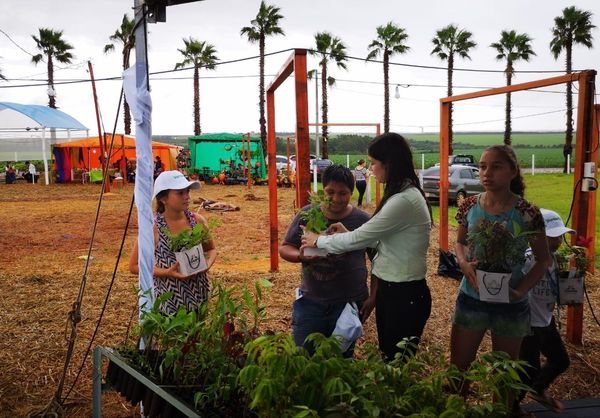 Más de 100.000 plantines para reforestar áreas degradadas del país