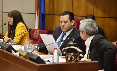 "Friedmann contaminó esta Comisión, se convirtió en peleítas de dos pendejos" » Ñanduti