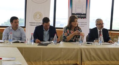 Informe internacional revela falencias del Parlamento
