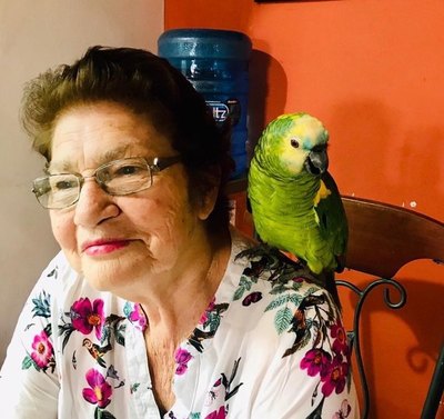 Oitã lorita “Paula”, movilizó al rollete