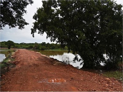 Denuncian que relleno de laguna en Piquete Cué genera inundación