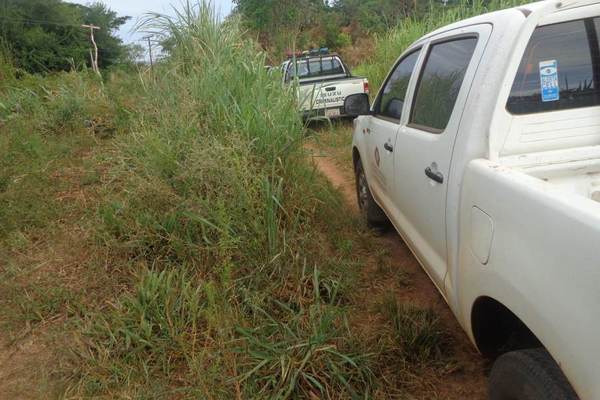 Investigan la muerte de una mujer en Alto Verá, Itapúa