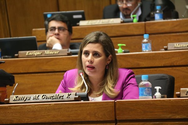 Diputados exigirán informe al TSJE sobre “poder paralelo” - ADN Paraguayo