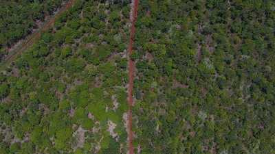 Infona presenta a productores del Chaco plataforma de monitoreo antideforestación | .::Agencia IP::.