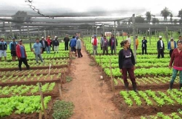 HOY / Horticultores marcharán esta mañana por el microcentro