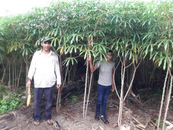 Monitorean proyectos y verifican rubros en fincas de productores - ADN Paraguayo