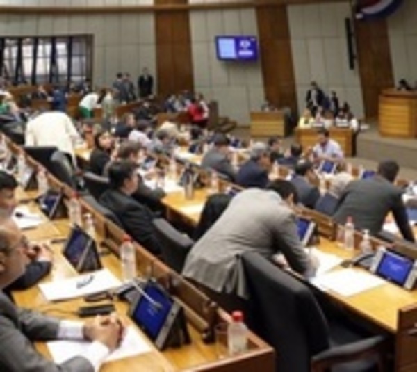 Diputados aprueba situación de personas con discapacidad en emergencia - Paraguay.com