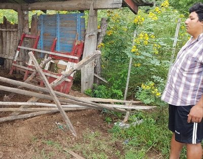 Roban tres vaquillas del padre del diputado Rivas | Paraguay en Noticias