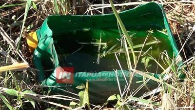 RECORD DE INFESTACIÓN LARVARIA EN ENCARNACIÓN.