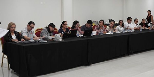 Dengue: Fortalecerán controles en la Triple Frontera