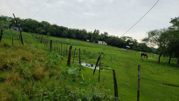 Primos mueren tras tocar alambrado electrificado - Nacionales - ABC Color
