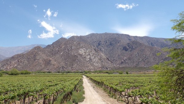 Salta, la ciudad argentina que conserva su espíritu colonial
