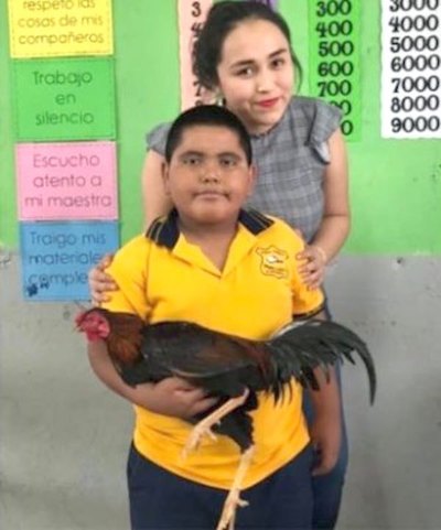 Alumnito llevó gallo de regalo a su profe