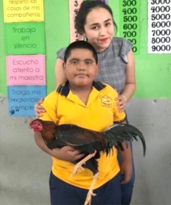 Alumnito llevó gallo de regalo a su profe