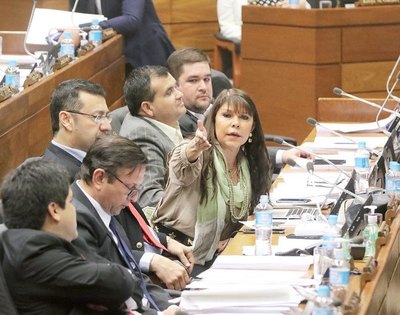 Friedmann es “burro” he’i diputada Amarilla