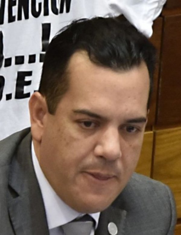 Senador Friedmann definiría hoy si obligan a HC a presentarse - Edicion Impresa - ABC Color