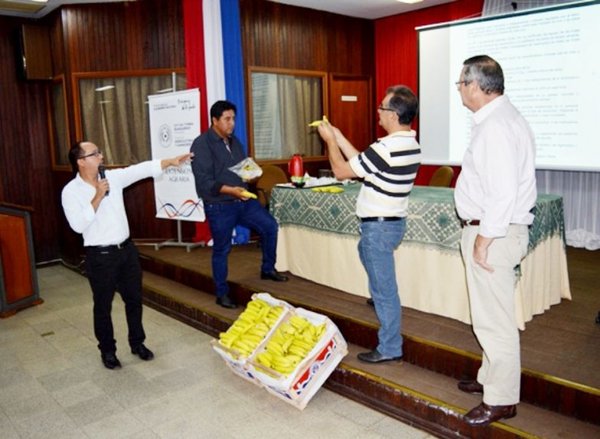 Discuten norma sobre banana para escuelas - Edicion Impresa - ABC Color