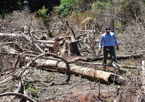 Actividades en la UNA por el día internacional de los bosques - Nacionales - ABC Color