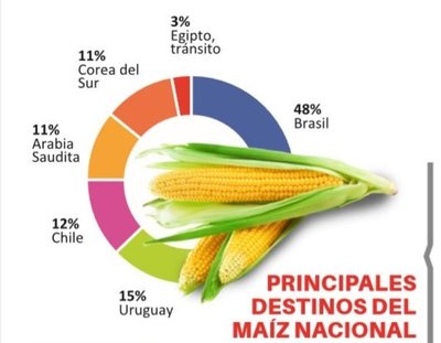 Exportaciones de maíz se retraen 17%